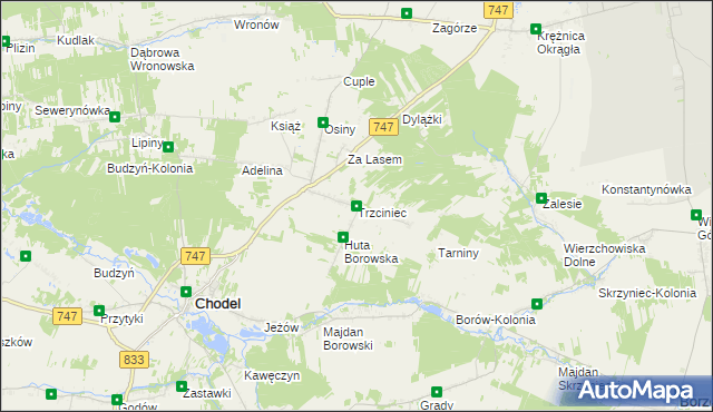 mapa Trzciniec gmina Chodel, Trzciniec gmina Chodel na mapie Targeo
