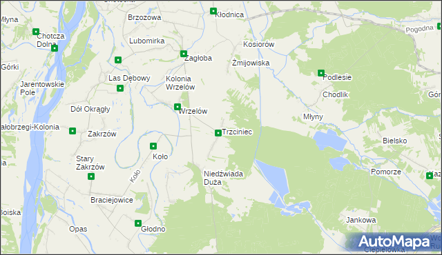 mapa Trzciniec gmina Łaziska, Trzciniec gmina Łaziska na mapie Targeo