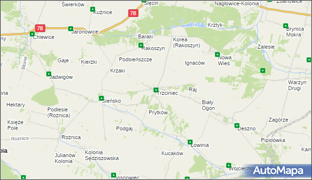 mapa Trzciniec gmina Nagłowice, Trzciniec gmina Nagłowice na mapie Targeo