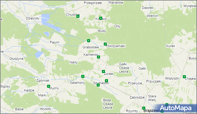 mapa Trzcinka gmina Brąszewice, Trzcinka gmina Brąszewice na mapie Targeo