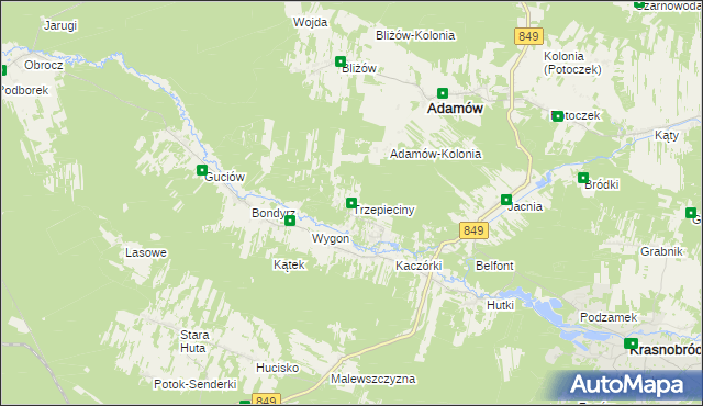 mapa Trzepieciny, Trzepieciny na mapie Targeo