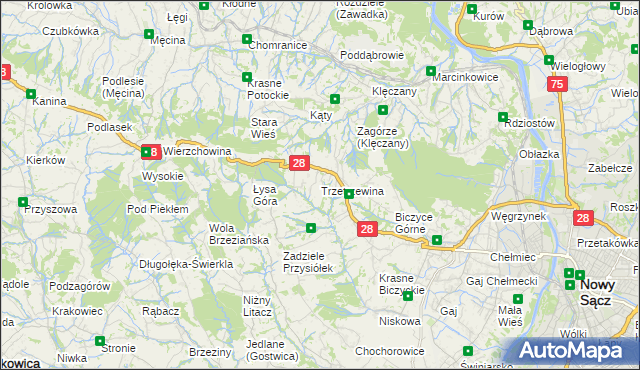 mapa Trzetrzewina, Trzetrzewina na mapie Targeo