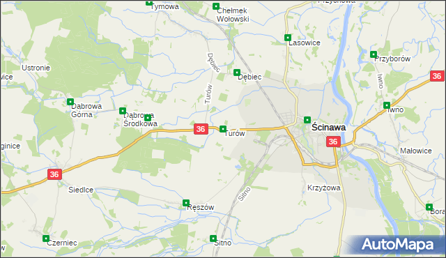 mapa Turów gmina Ścinawa, Turów gmina Ścinawa na mapie Targeo