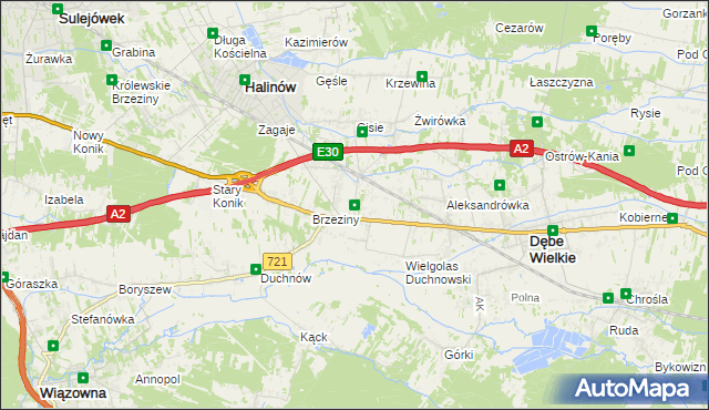 mapa Wielgolas Brzeziński, Wielgolas Brzeziński na mapie Targeo