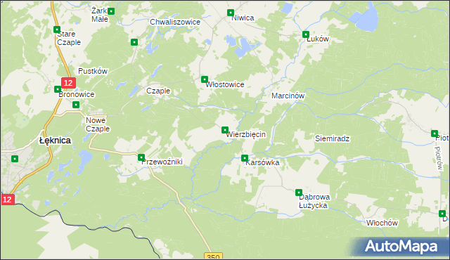 mapa Wierzbięcin gmina Trzebiel, Wierzbięcin gmina Trzebiel na mapie Targeo