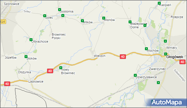 mapa Wierzch, Wierzch na mapie Targeo