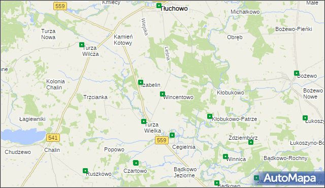 mapa Wincentowo gmina Brudzeń Duży, Wincentowo gmina Brudzeń Duży na mapie Targeo