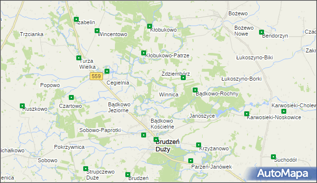 mapa Winnica gmina Brudzeń Duży, Winnica gmina Brudzeń Duży na mapie Targeo