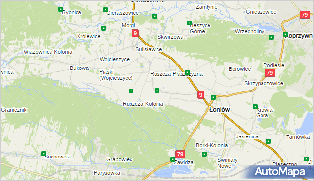 mapa Wnorów, Wnorów na mapie Targeo