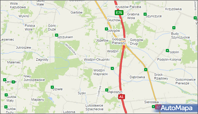 mapa Wodzin Prywatny, Wodzin Prywatny na mapie Targeo