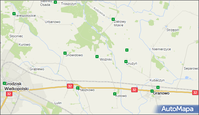 mapa Woźniki gmina Grodzisk Wielkopolski, Woźniki gmina Grodzisk Wielkopolski na mapie Targeo