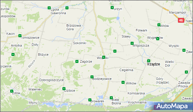 mapa Woźniki gmina Irządze, Woźniki gmina Irządze na mapie Targeo