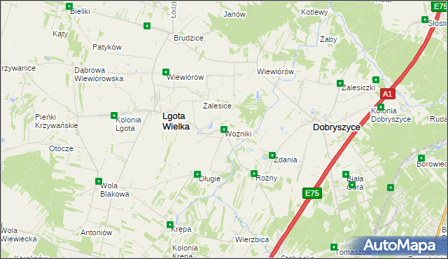 mapa Woźniki gmina Lgota Wielka, Woźniki gmina Lgota Wielka na mapie Targeo