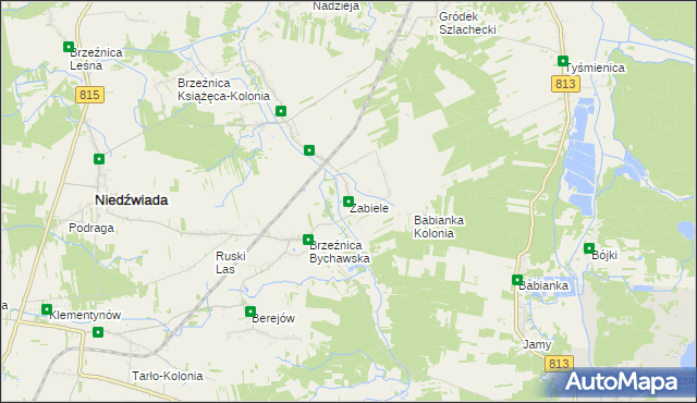 mapa Zabiele gmina Niedźwiada, Zabiele gmina Niedźwiada na mapie Targeo