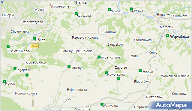 mapa Zaborze-Kolonia, Zaborze-Kolonia na mapie Targeo