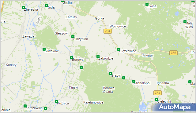 mapa Zabrodzie gmina Gidle, Zabrodzie gmina Gidle na mapie Targeo