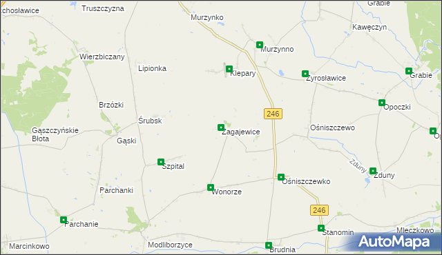 mapa Zagajewice gmina Dąbrowa Biskupia, Zagajewice gmina Dąbrowa Biskupia na mapie Targeo