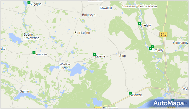 mapa Zalesie gmina Lidzbark, Zalesie gmina Lidzbark na mapie Targeo