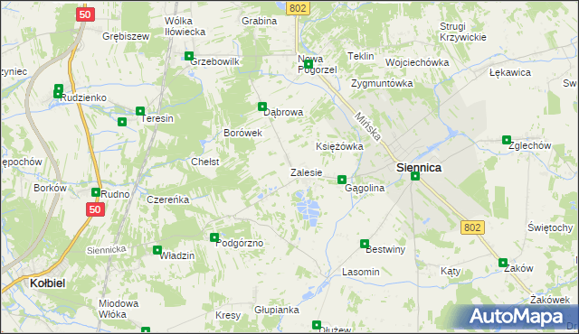 mapa Zalesie gmina Siennica, Zalesie gmina Siennica na mapie Targeo