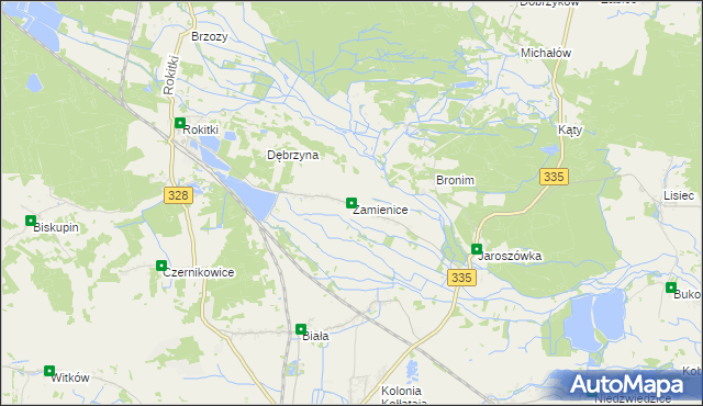 mapa Zamienice, Zamienice na mapie Targeo