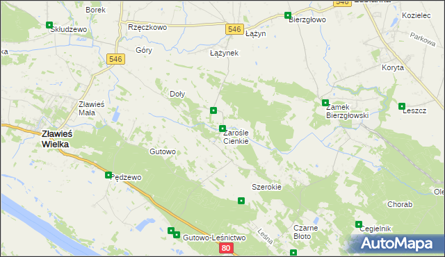 mapa Zarośle Cienkie, Zarośle Cienkie na mapie Targeo