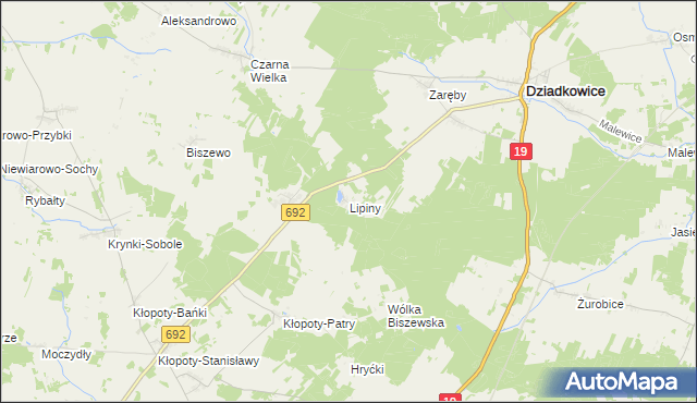 mapa Lipiny gmina Dziadkowice, Lipiny gmina Dziadkowice na mapie Targeo