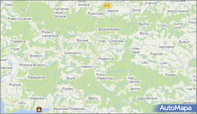 mapa Paleśnica, Paleśnica na mapie Targeo