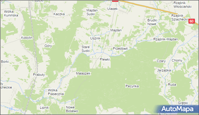 mapa Plewki gmina Długosiodło, Plewki gmina Długosiodło na mapie Targeo