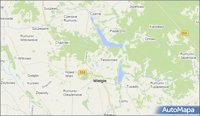 mapa Teodorowo gmina Wielgie, Teodorowo gmina Wielgie na mapie Targeo