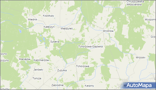 mapa Tchórzowa-Gajówka, Tchórzowa-Gajówka na mapie Targeo