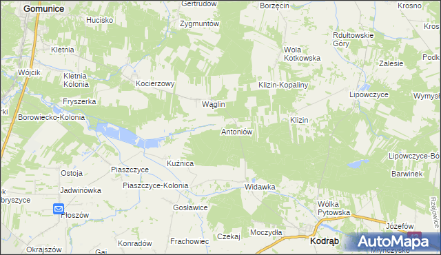 mapa Antoniów gmina Kodrąb, Antoniów gmina Kodrąb na mapie Targeo