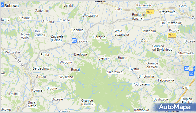 mapa Bieśnik gmina Łużna, Bieśnik gmina Łużna na mapie Targeo