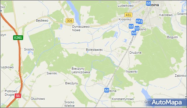 mapa Borkowice gmina Mosina, Borkowice gmina Mosina na mapie Targeo