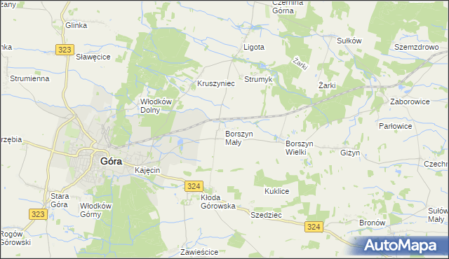 mapa Borszyn Mały, Borszyn Mały na mapie Targeo