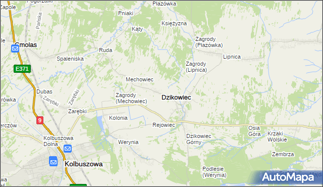 mapa Dzikowiec powiat kolbuszowski, Dzikowiec powiat kolbuszowski na mapie Targeo