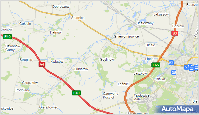 mapa Goślinów, Goślinów na mapie Targeo