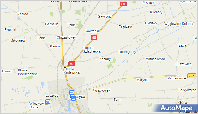 mapa Kozuby gmina Łęczyca, Kozuby gmina Łęczyca na mapie Targeo