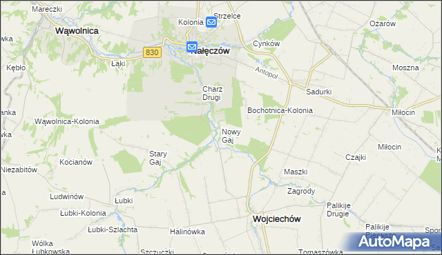 mapa Nowy Gaj gmina Wojciechów, Nowy Gaj gmina Wojciechów na mapie Targeo