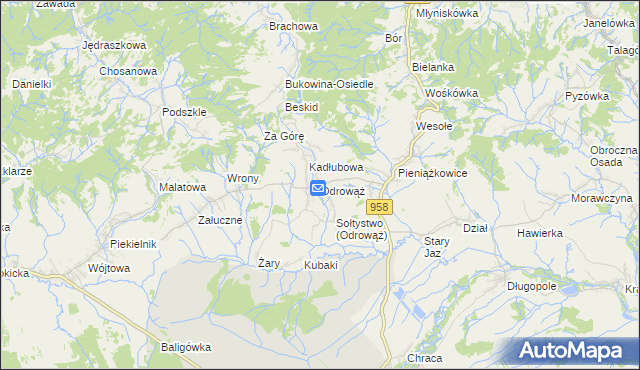 mapa Odrowąż gmina Czarny Dunajec, Odrowąż gmina Czarny Dunajec na mapie Targeo