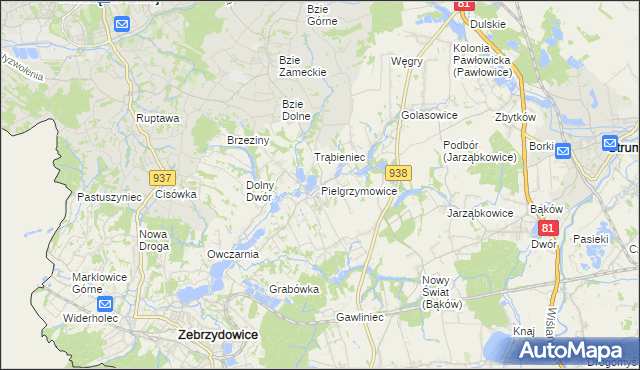 mapa Pielgrzymowice gmina Pawłowice, Pielgrzymowice gmina Pawłowice na mapie Targeo