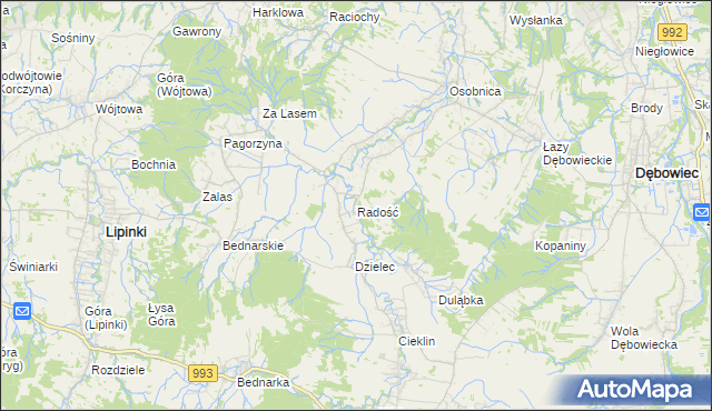 mapa Radość gmina Dębowiec, Radość gmina Dębowiec na mapie Targeo