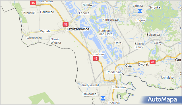 mapa Roszków gmina Krzyżanowice, Roszków gmina Krzyżanowice na mapie Targeo