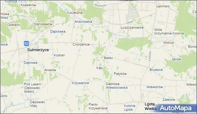mapa Trzciniec gmina Sulmierzyce, Trzciniec gmina Sulmierzyce na mapie Targeo