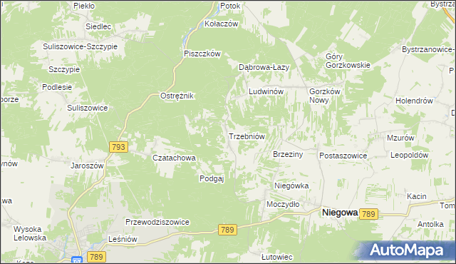 mapa Trzebniów, Trzebniów na mapie Targeo