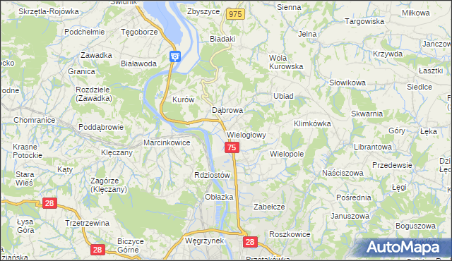 mapa Wielogłowy gmina Chełmiec, Wielogłowy gmina Chełmiec na mapie Targeo