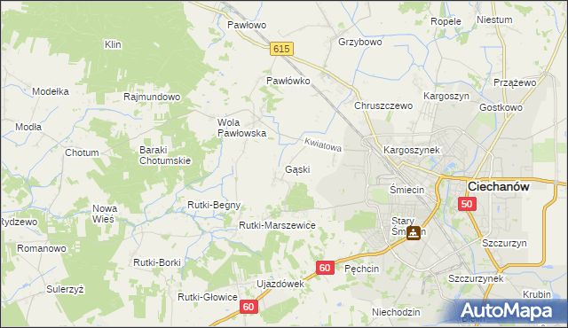 mapa Gąski gmina Ciechanów, Gąski gmina Ciechanów na mapie Targeo