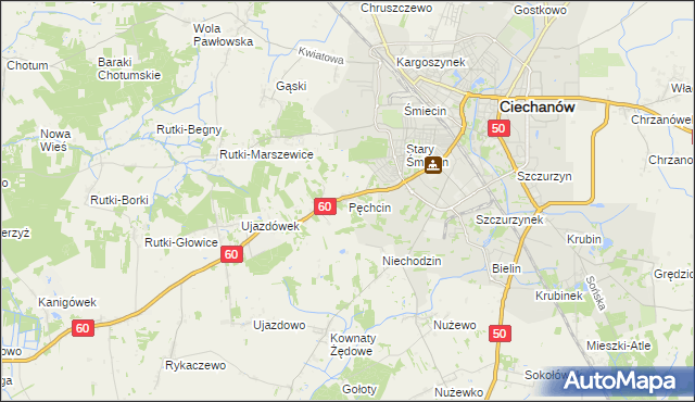 mapa Pęchcin, Pęchcin na mapie Targeo