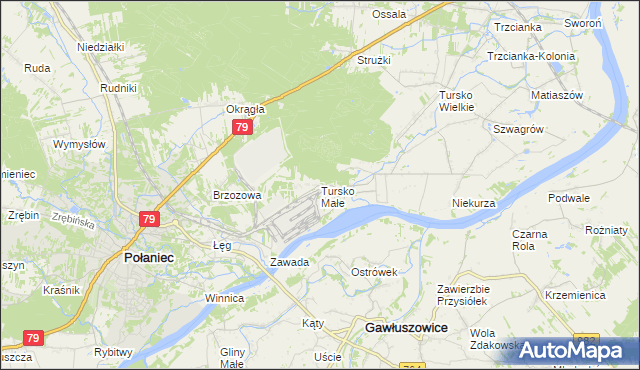 mapa Tursko Małe, Tursko Małe na mapie Targeo