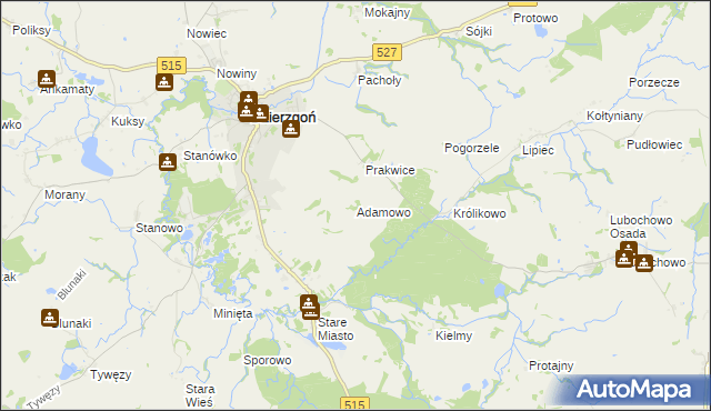 mapa Adamowo gmina Stary Dzierzgoń, Adamowo gmina Stary Dzierzgoń na mapie Targeo