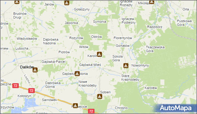 mapa Anastazew gmina Parzęczew, Anastazew gmina Parzęczew na mapie Targeo